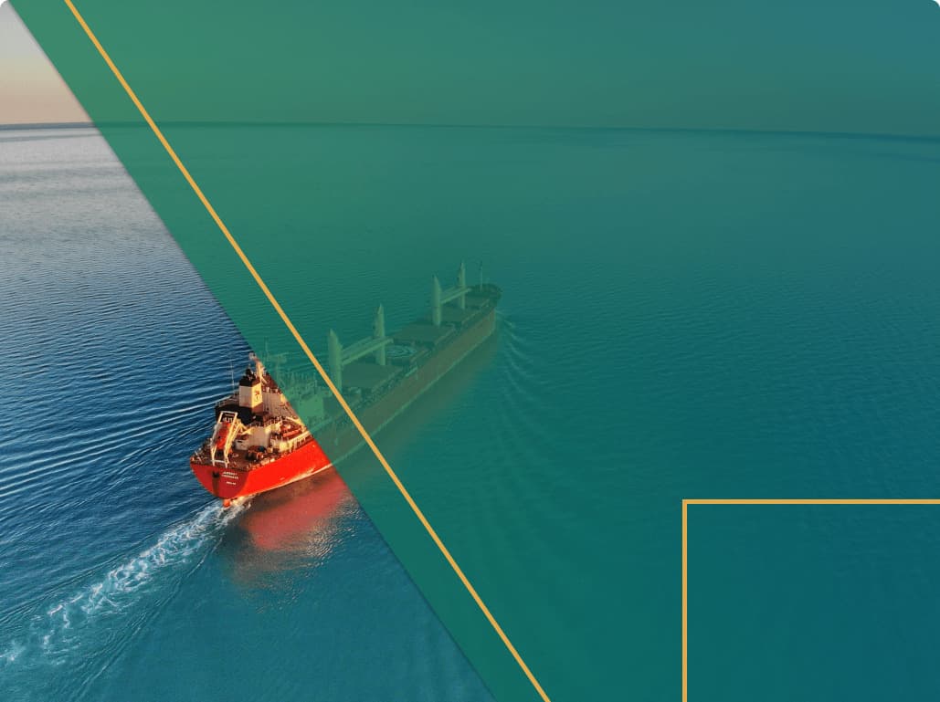 NVOCC vs. Freight Forwarder: Your guide to differences + How to choose