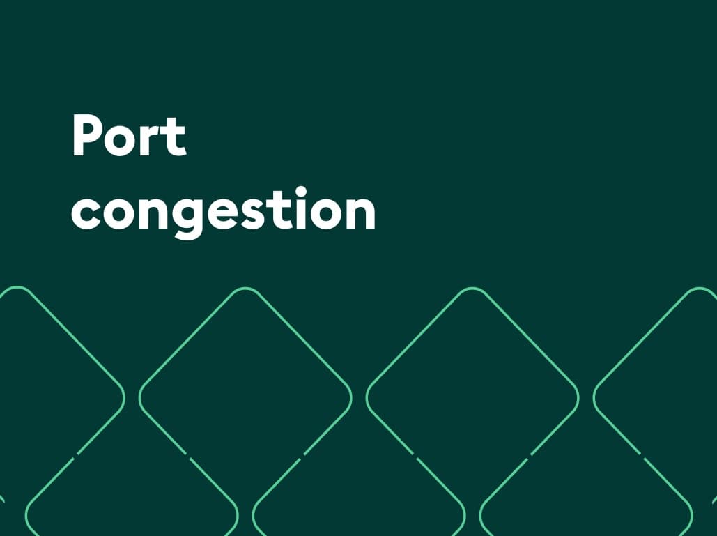 Port congestion 2024: Causes, surcharges, and 4 tips to avoid delays