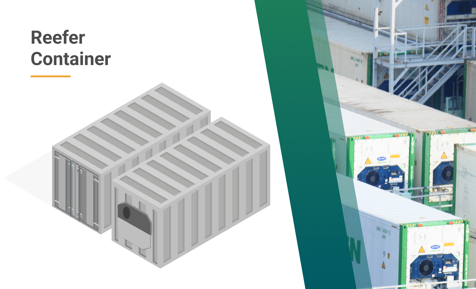 What is a Reefer Container? Learn how it works & prices [2023]