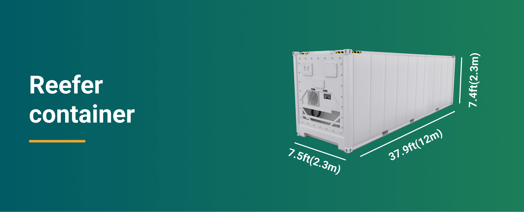 Reefer container dimensions