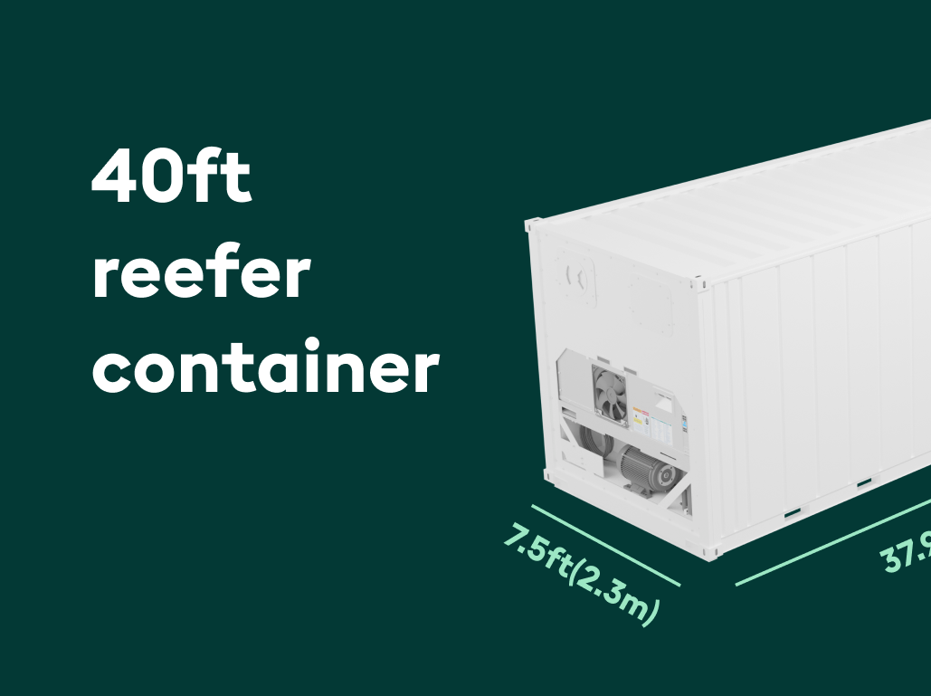 40ft reefer container